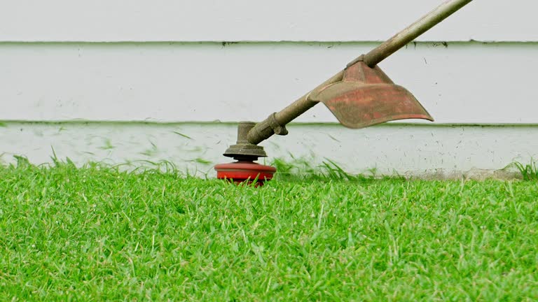 Lawn Renovation and Restoration in Elyria, OH